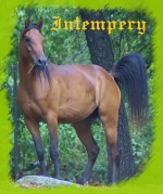 intempery