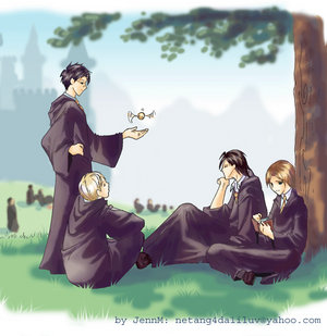 harry potter  the marauders by netang4da1iluv