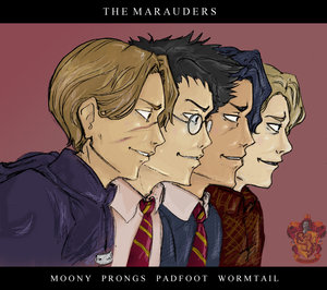 hp   the marauders by akanai