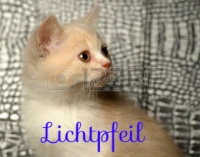 Lichtpfeil