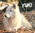 Yuki-neechan