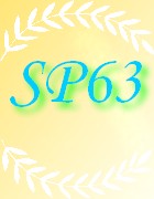 sapeurpompier63
