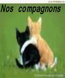 nos compagnons