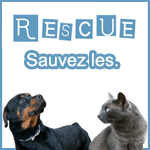 RESCUE