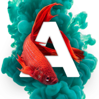 Aquari0