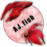 AJ.fish