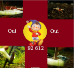 ouioui92612