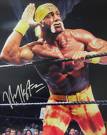 Hulk Hogan