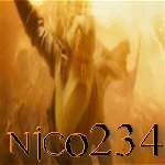 nico234