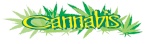 Cannabis