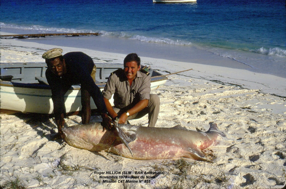 [Campagne] Iles éparses du canal du Mozambique - Page 3 70_11_13