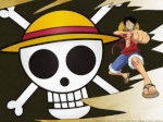 Luffy groupie