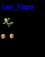 leo_napo