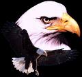 EAGLES4EVER