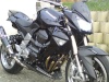 mon z 1000 black 2008