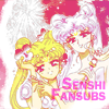 Sailor Moon Anime 563-40