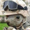 xavsquirrel