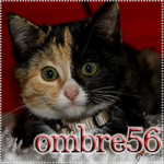 Ombre56