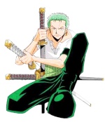 Zoro-2a