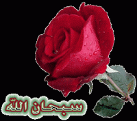 روح الروح