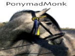 PonymadMonk