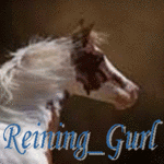 Reining_Gurl