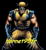 hornet95fr