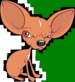 Angry Chihuahua