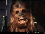 chewbacca