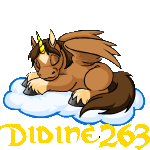 didine263