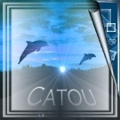 Catou