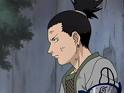 nara shikamaru