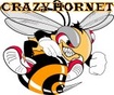 Crazy Hornet