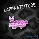 lapin-choco