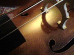 violoncella