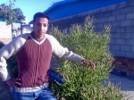 Mohamed Moawad