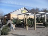Snortum's, in Ortonville, is getting ready to sell Christmas Trees.
11/20/08
