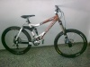 Nuestras Bikes 05022011