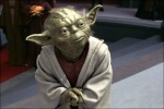 Maitre Yoda