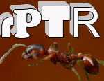 rPTR