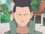 x_Shikamaru