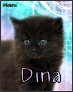 Dina