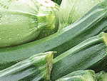 Courgette