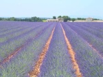 Provence 04