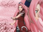 Sakura Haruno