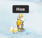 Hoe