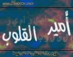 امير القلوب