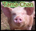 Tama-Chan