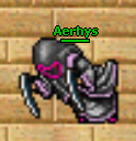 Aerhys