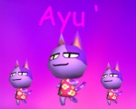 Ayu'